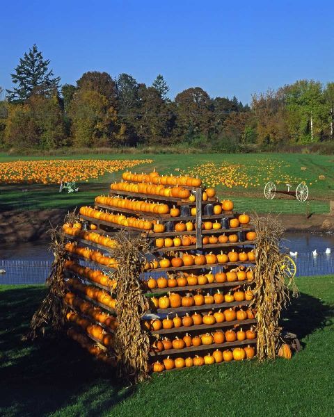 OR, Willamette Valley House made of pumpkins